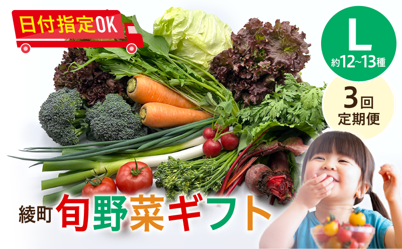 綾町旬野菜ギフト（Lサイズ）【全３回定期便】