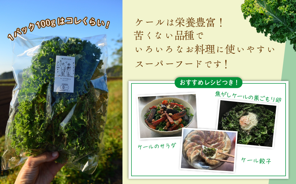 綾町産有機ケール 500g[おすすめレシピ付き]