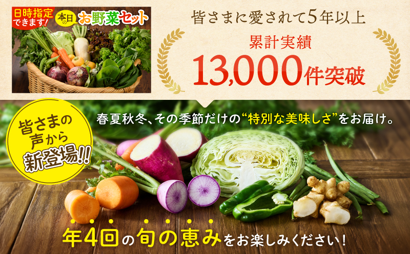 【全４回定期便】春夏秋冬 季節のお野菜セット（サイズ中）