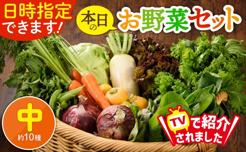 日時指定可能！本日のお野菜セット（サイズ中）