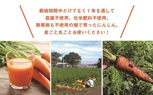 ãææ©JASã ãžã¥ãŒã¹ã«æé©ïŒãã£ã·ãã«ããã10kgïŒïŒèš³ãããµãããèŠæ ŒïŒ