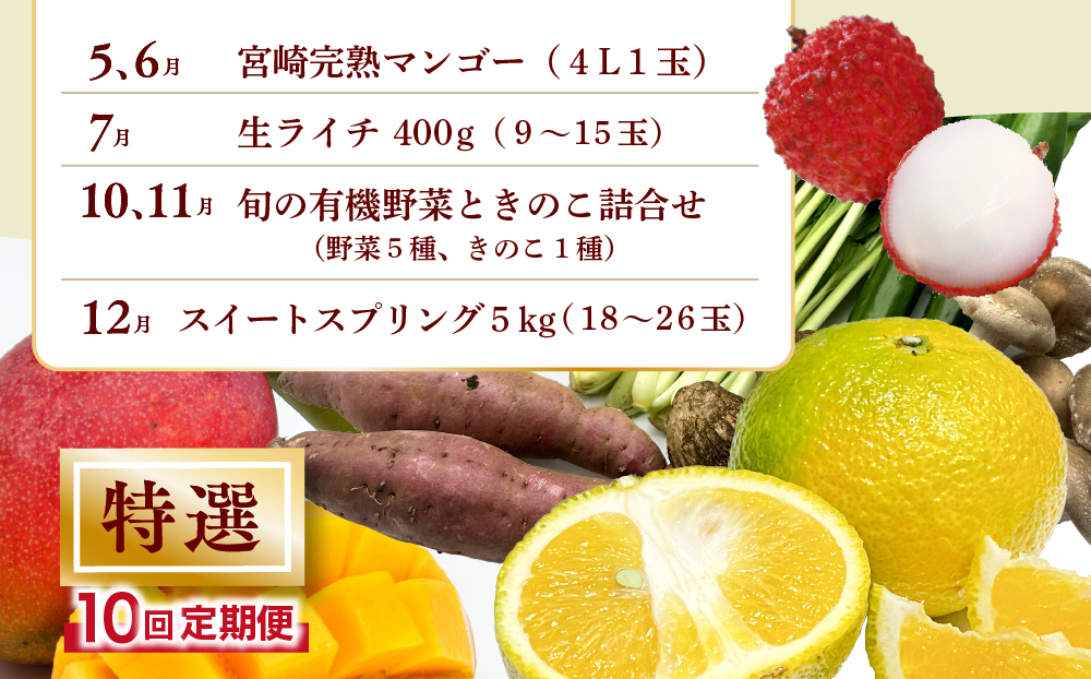 【全10回お届け】特選！！宮崎県綾町産 果物・野菜定期便 [Y21]