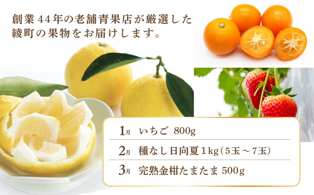 【全6回お届け】宮崎県綾町産 果物定期便 [X22]