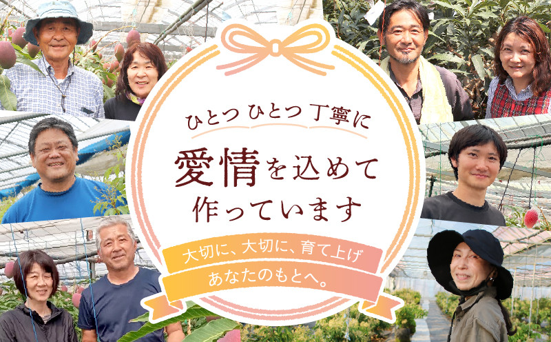 【先行予約/数量限定】希少 完熟マンゴー＆生ライチセット / 1玉 1パック 宮崎県産 綾町産 濃厚 甘い 果物 南国 フルーツ 高級 マンゴー 国産ライチ 産地直送 期間限定 冷蔵 送料無料 お中元 ふるさと納税