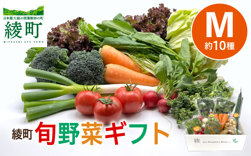 綾町旬野菜ギフト（Mサイズ）