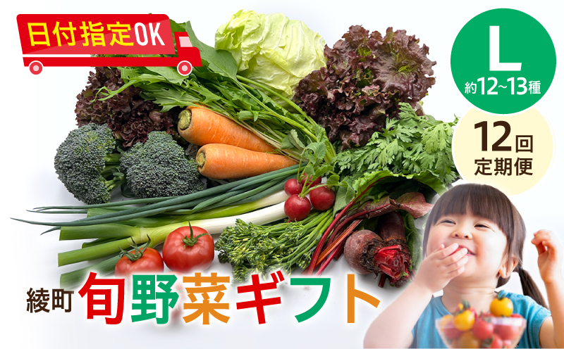 綾町旬野菜ギフト（Lサイズ）【全12回定期便】