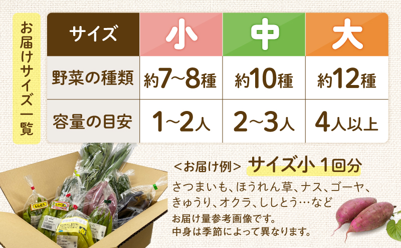 【全４回定期便】春夏秋冬 季節のお野菜セット（サイズ小）