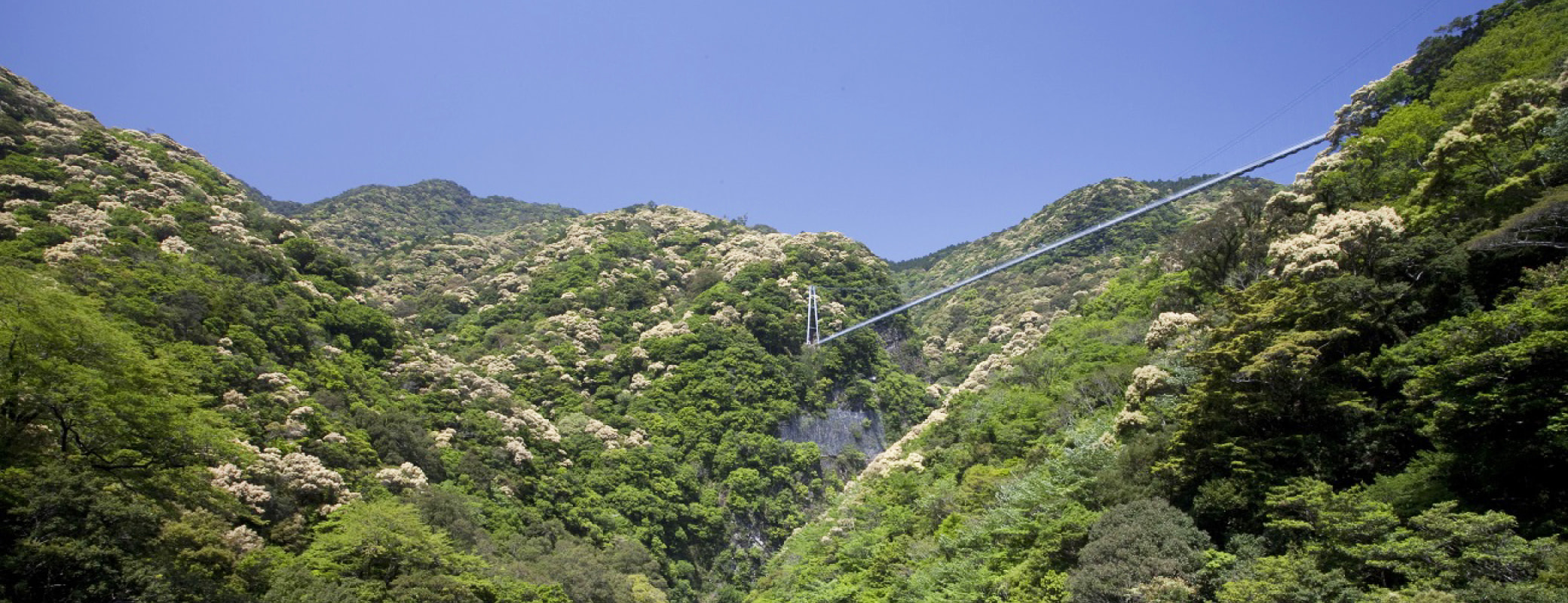 螳ョ蟠守恁邯セ逕コ