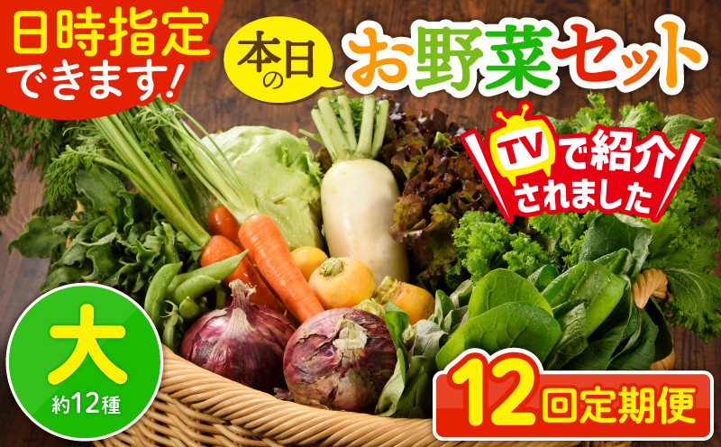 日時指定可能！本日のお野菜セット（サイズ大）【全12回定期便】