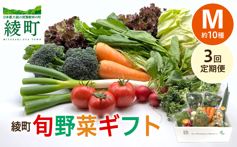 綾町旬野菜ギフト（Mサイズ）【全３回定期便】