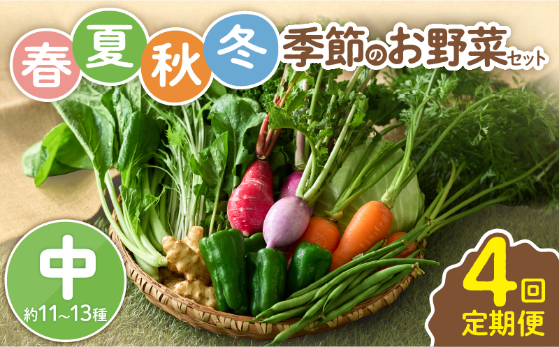 【全４回定期便】春夏秋冬 季節のお野菜セット（サイズ中）約11～13種