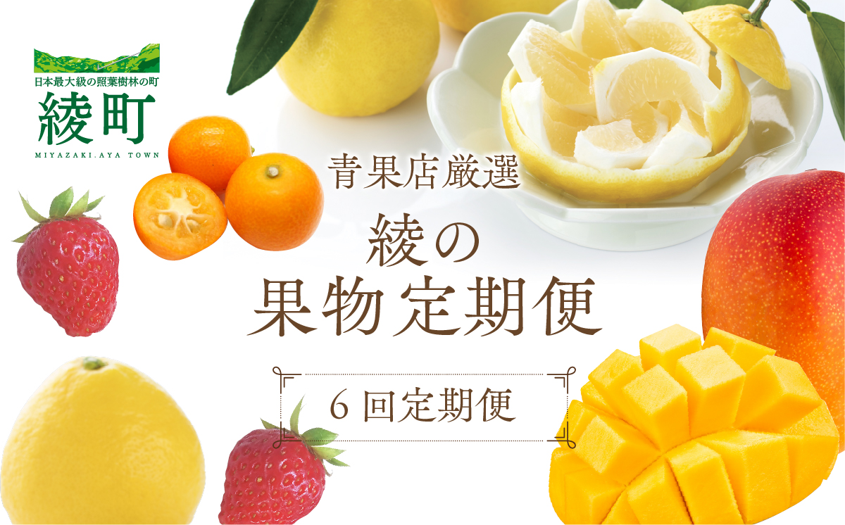 【全6回お届け】宮崎県綾町産 果物定期便 [X22]