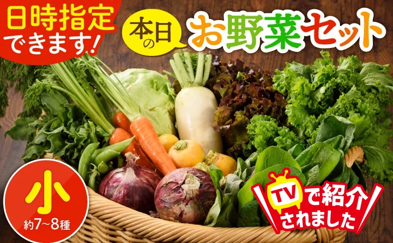 日時指定可能！本日のお野菜セット（サイズ小）