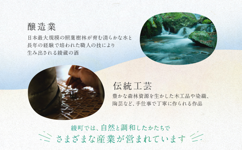 【返礼品なしの寄附】宮崎県綾町 寄附のみの応援受付 100,000円 応援寄附 寄付