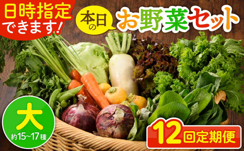 日時指定可能！本日のお野菜セット（サイズ大）約15～17種【全12回定期便】