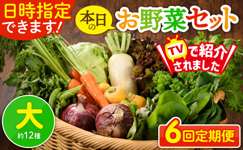 日時指定可能！本日のお野菜セット（サイズ大）【全６回定期便】
