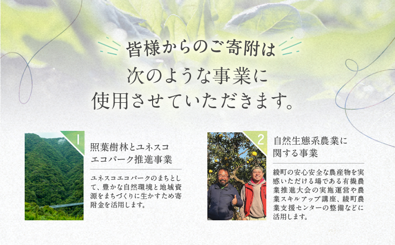 【返礼品なしの寄附】宮崎県綾町 寄附のみの応援受付 100,000円 応援寄附 寄付