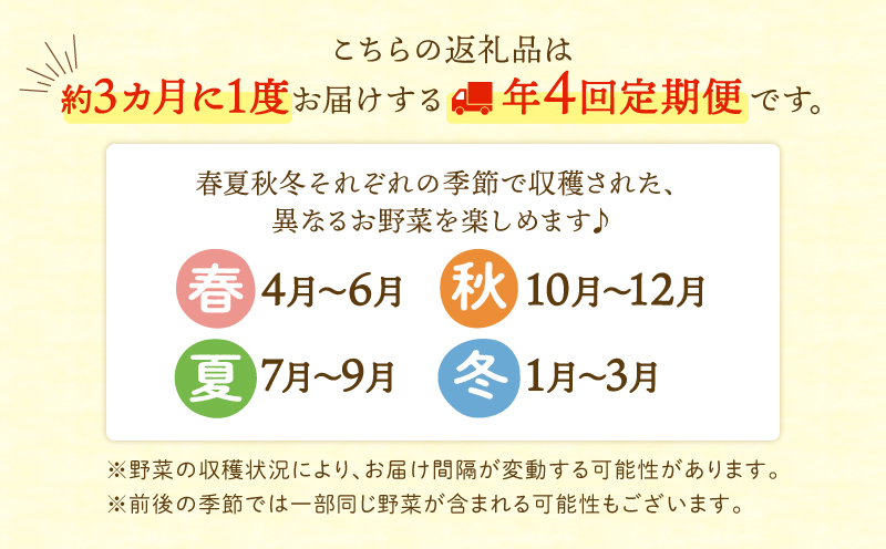 【全４回定期便】春夏秋冬 季節のお野菜セット（サイズ中）