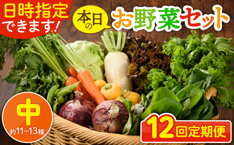 日時指定可能！本日のお野菜セット（サイズ中）約11～13種【全12回定期便】