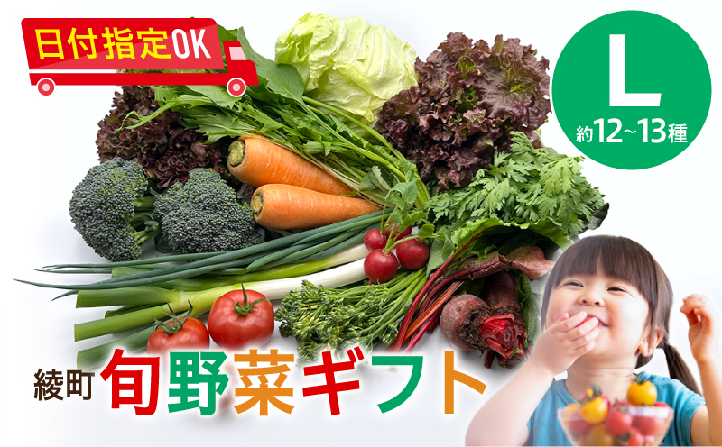 綾町旬野菜ギフト（Lサイズ）