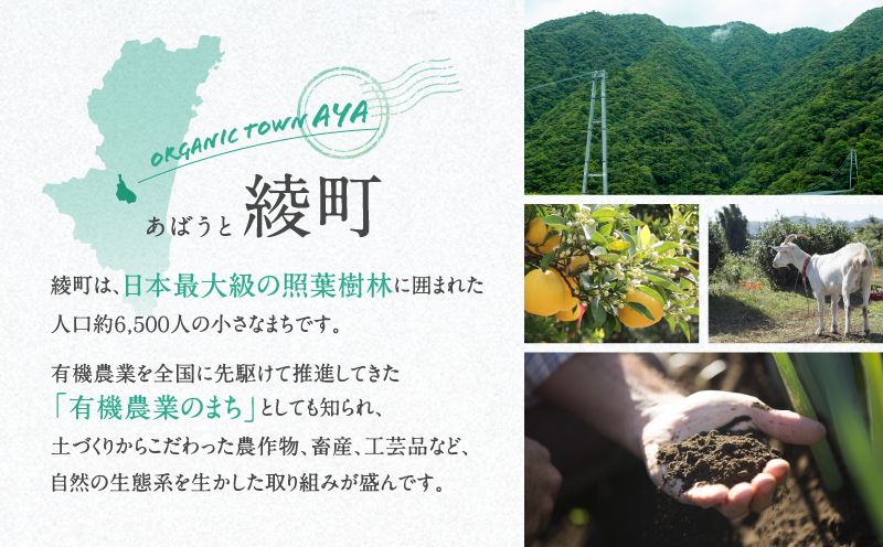 【返礼品なしの寄附】宮崎県綾町 ＜自然生態系農業に関する事業を応援＞ 100,000円 寄附のみ 応援寄附 寄付