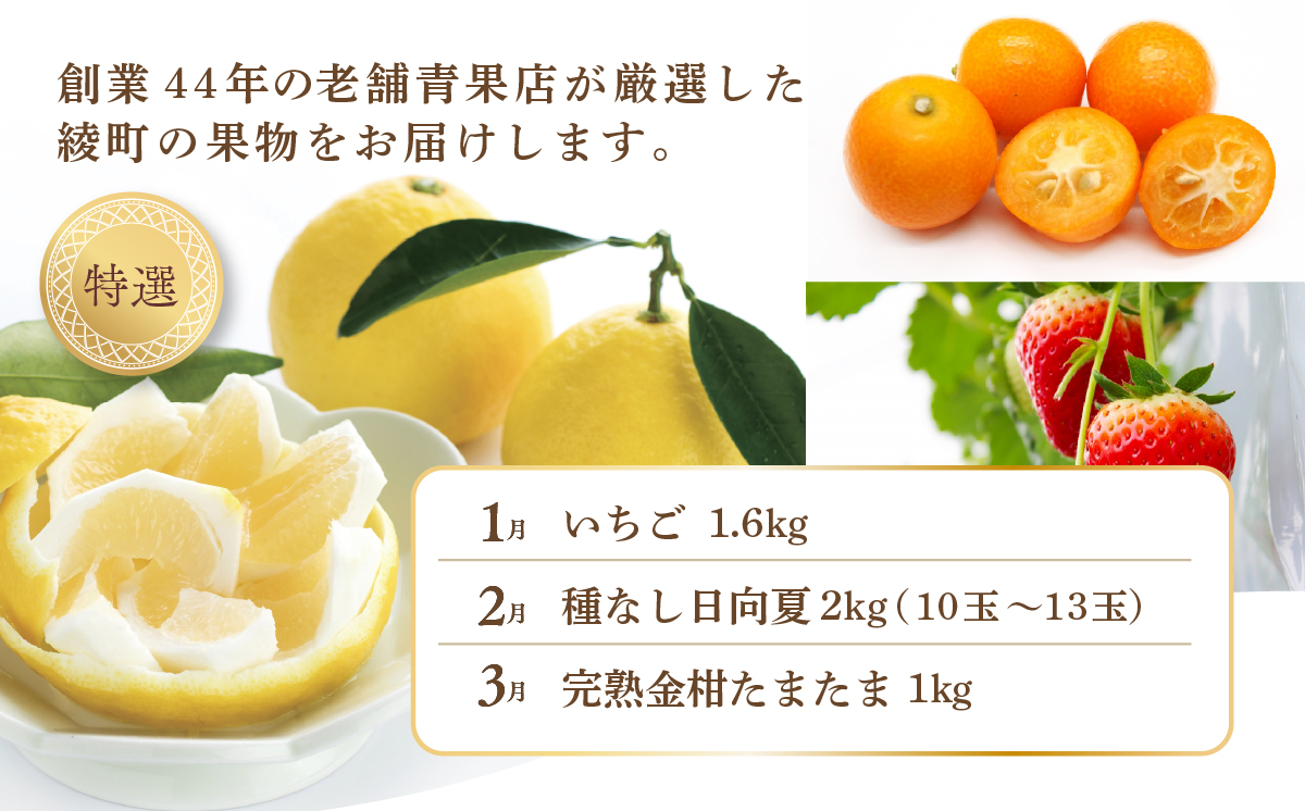 【全6回お届け】特選！！宮崎県綾町産 果物定期便 [Y22]