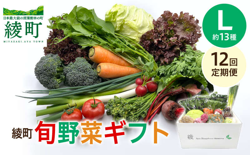 綾町旬野菜ギフト（Lサイズ）【全12回定期便】