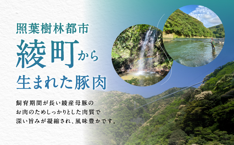 宮崎県 綾町産〈豚肉小間切れ&ミンチ セット 3kg〉 国産 ブランド豚 小分け 冷凍 豚こま 挽き肉 カレー そぼろ 肉団子 生姜焼き ハンバーグ 餃子 炒め物 おかず 弁当 人気 おすすめ 送料無料