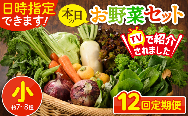 日時指定可能！本日のお野菜セット（サイズ小）【全12回定期便】