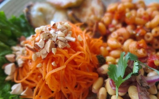 【有機JAS】 ジュースに最適！たっぷりにんじん６kg！（訳ありふぞろい規格）