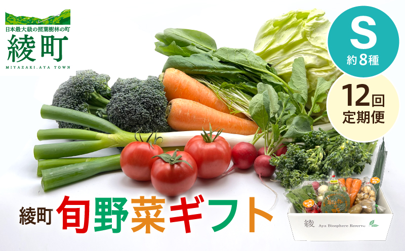 綾町旬野菜ギフト（Sサイズ）【全12回定期便】