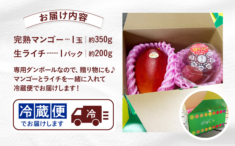 【先行予約/数量限定】希少 完熟マンゴー＆生ライチセット / 1玉 1パック 宮崎県産 綾町産 濃厚 甘い 果物 南国 フルーツ 高級 マンゴー 国産ライチ 産地直送 期間限定 冷蔵 送料無料 お中元 ふるさと納税
