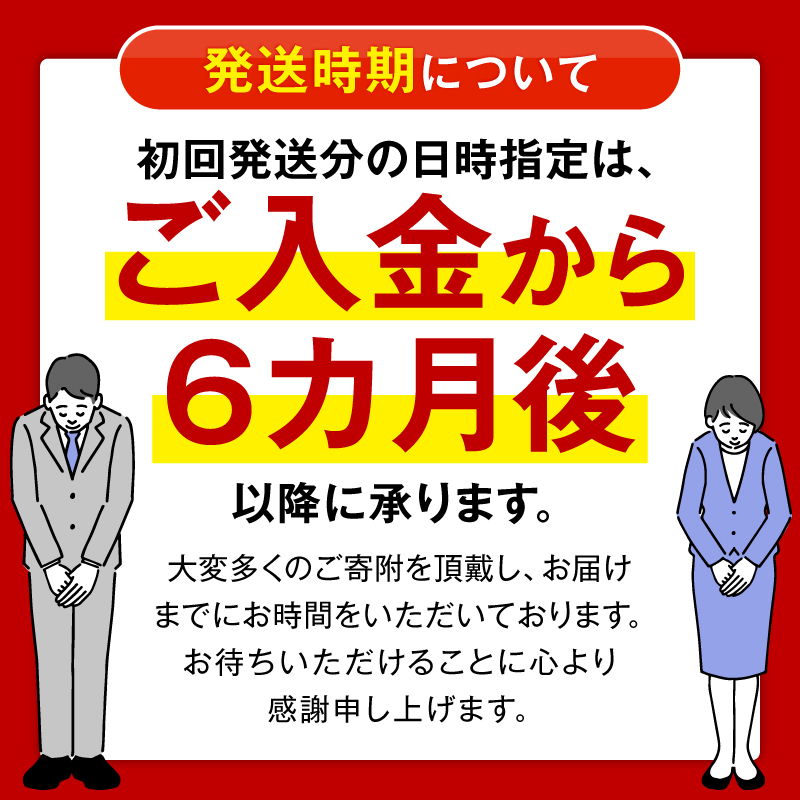 日時指定可能！本日のお野菜セット（サイズ小）【全12回定期便】