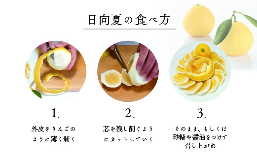 【先行受付】初春の旬「日向夏」種なし 2.5kg / 日向夏 ひゅうがなつ 柑橘 フルーツ 綾町 宮崎県