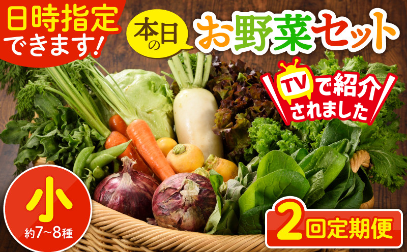 日時指定可能！本日のお野菜セット（サイズ小）【全２回定期便】