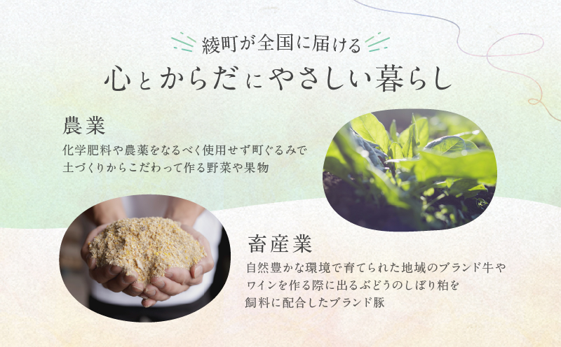 縲占ソ皮、シ蜩√↑縺励ョ蟇髯縲大ョョ蟠守恁邯セ逕コ 蟇髯縺ョ縺ソ縺ョ蠢懈抄蜿嶺サ 5,000蜀 蠢懈抄蟇髯 蟇莉