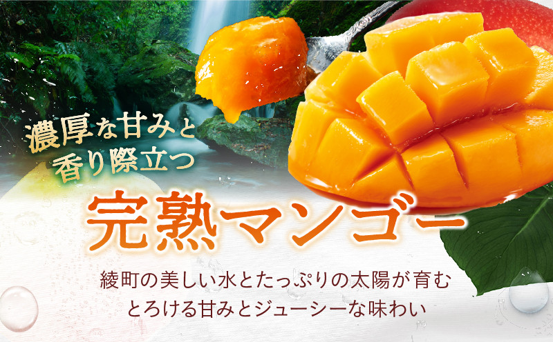 【先行予約/数量限定】希少 完熟マンゴー＆生ライチセット / 1玉 1パック 宮崎県産 綾町産 濃厚 甘い 果物 南国 フルーツ 高級 マンゴー 国産ライチ 産地直送 期間限定 冷蔵 送料無料 お中元 ふるさと納税