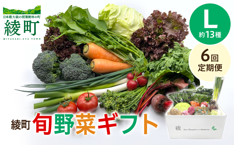 綾町旬野菜ギフト（Lサイズ）【全６回定期便】