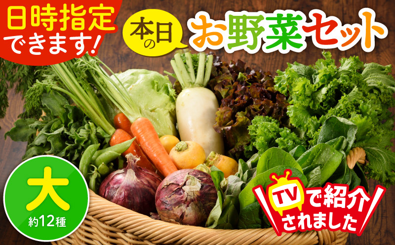 日時指定可能！本日のお野菜セット（サイズ大）