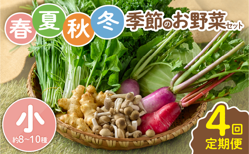 【全４回定期便】春夏秋冬 季節のお野菜セット（サイズ小）約8～10種