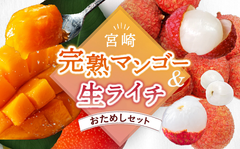 【先行予約/数量限定】希少 完熟マンゴー＆生ライチセット / 1玉 1パック 宮崎県産 綾町産 濃厚 甘い 果物 南国 フルーツ 高級 マンゴー 国産ライチ 産地直送 期間限定 冷蔵 送料無料 お中元 ふるさと納税