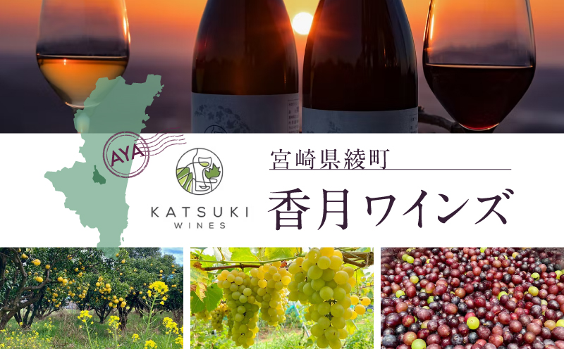 2024 綾トピア ワイン（白／辛口／750ml）