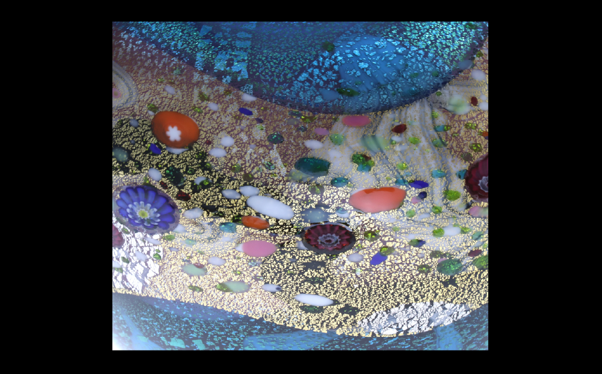 黿šåœæäœ è±åš éã»ãã©ãã象åµãå
ç³ãïŒããå
ç³ïŒ