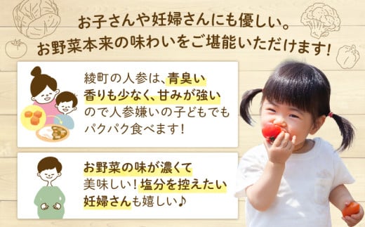 日時指定可能！本日のお野菜セット（サイズ中）