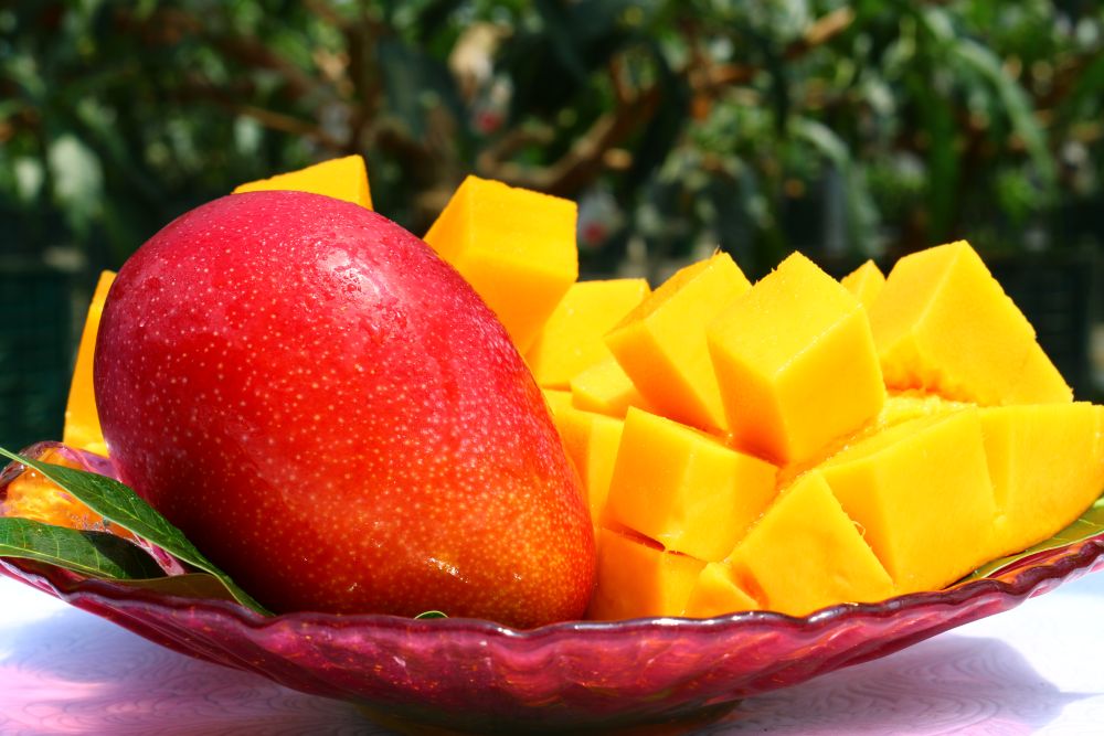 【全3回お届け】至極 完熟マンゴー 4L・2玉［Z21］