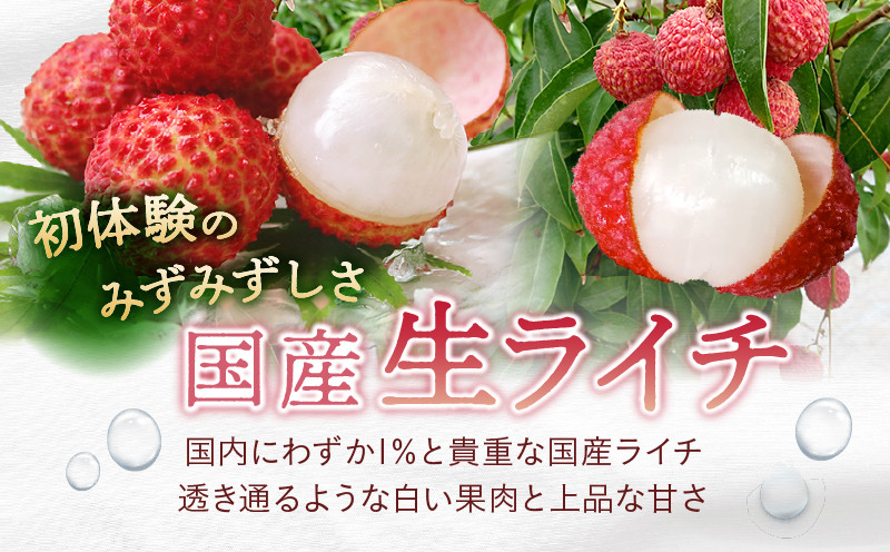 【先行予約/数量限定】希少 完熟マンゴー＆生ライチセット / 1玉 1パック 宮崎県産 綾町産 濃厚 甘い 果物 南国 フルーツ 高級 マンゴー 国産ライチ 産地直送 期間限定 冷蔵 送料無料 お中元 ふるさと納税