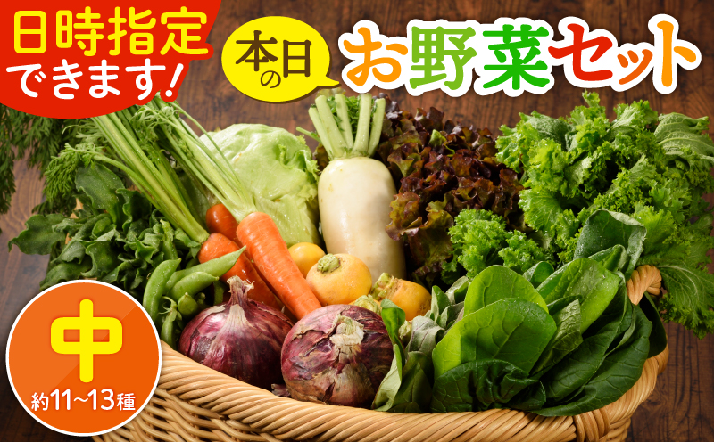 日時指定可能！本日のお野菜セット（サイズ中）約11～13種