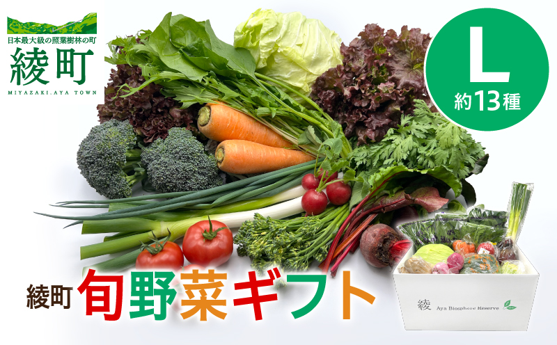 綾町旬野菜ギフト（Lサイズ）