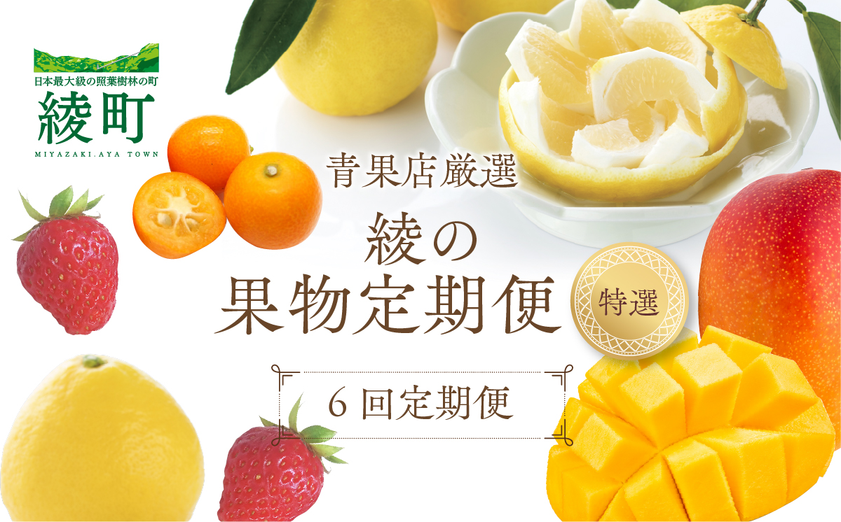 【全6回お届け】特選！！宮崎県綾町産 果物定期便 [Y22]