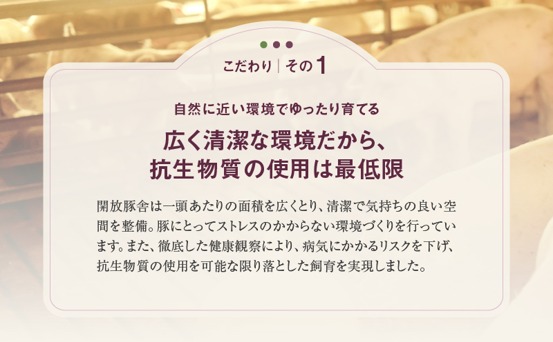 縲仙ク悟ー代 螳ョ蟠守恁逕」 繝悶Λ繝ウ繝芽ア 縲檎カセ縺カ縺ゥ縺雎壹 縺励c縺カ縺励c縺カ繧サ繝繝 1.5kg (500gテ3繝代ャ繧ッ) 縲舌Δ繝「 雎壹ヰ繝ゥ 繝ュ繝シ繧ケ 鬟溘∋豈斐∋ 蝗ス逕」 繝悶Λ繝ウ繝芽ア 雎夊i 蟆丞縺 蜀キ蜃 蜀キ縺励c縺カ 骰 雎壹@繧縺カ 縺励c縺カ縺励c縺カ閧 蜀キ蜃 蜥瑚ア 繝昴シ繧ッ 莠コ豌 縺翫☆縺吶a 騾∵侭辟。譁 邯セ逕コ縲